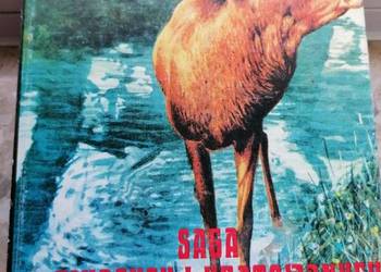 Saga o ginących i uratowanych Saga o ginących i uratowanych