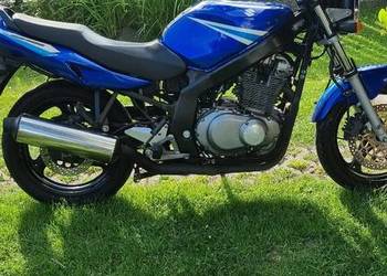 Suzuki gs 500