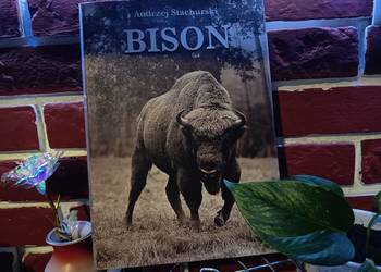 Luksusowy Album FOTO: BISON / ŻUBR (2003) - PL/EN