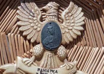 Talerz slomiany Talerz slomiany