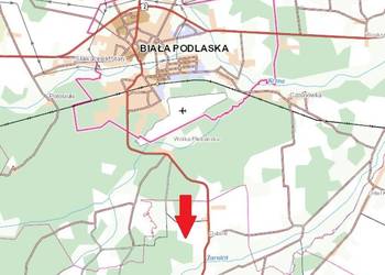Las - Dubów - działka - Łomazy / Biała Podlaska