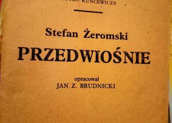 Przedwiośnie Żeromskiego analizy literatura księgarnia Praga