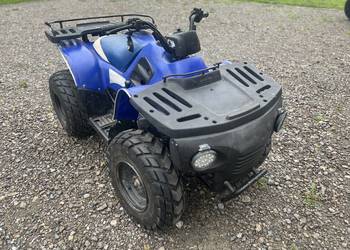 Quad Cobra 180