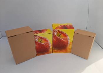 Kartony na soki Bag In Box