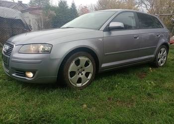Audi A3 8P SportBeck