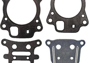 Zestaw uszczelek głowicy silnika 799492