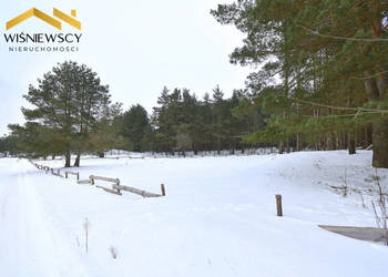 Działka 3001 m2, przy lesie, budowlana, uzbrojona