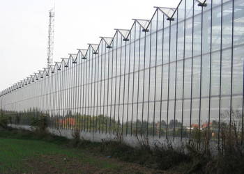 Ogrodnictwo do wynajęcia Szklarnie do wynajecia 2,5 ha
