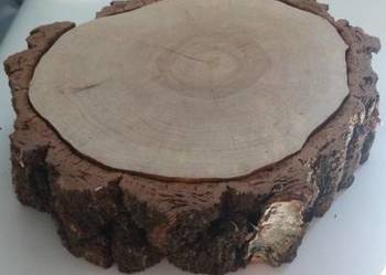 Duży Plastry drewna brzoza 45 cm gr.11cm na stolik