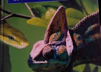 Amatorska Hodowla Gadów ilustrowana encyklopedia nowa wysyłka