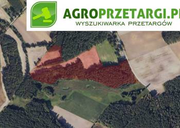 Dzierżawa 19,83 ha gruntu rolnego