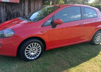 ładny fiat