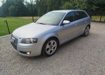 Audi A 3 Quattro 2007r  2.0 tdi