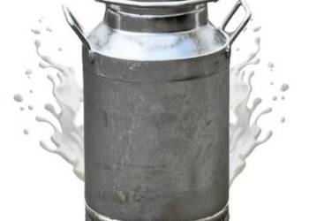 Sprzedam mleko od krów