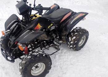 Quad Bashan 200 manual