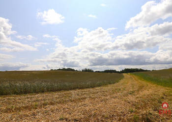 Działka do sprzedania 55000m2 Garbas Drugi