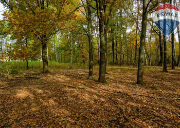 Działka budowlana 1018m2, Grądy k. Żyrardowa