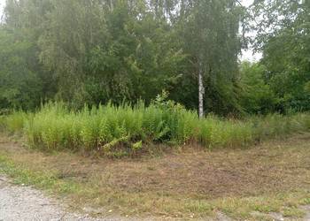 Sprzedaż Działek Budowlanych Rosanów Dluga