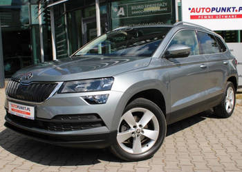 Skoda Karoq, 2019r. | Gwarancja | Salon PL | I-WŁ | ASO | DSG | Nowe Opony…