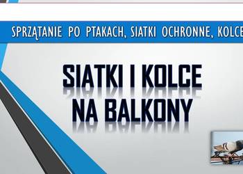 Usługi montażu kolców na parapecie, domu, budynku, Wrocław