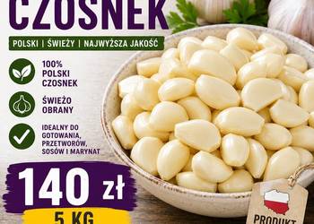 Czosnek