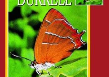 Różowe gołębie i złote nietoperze - Gerald Durrell  FA