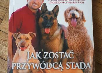 SUPER STAN Cesar Millan/Zaklinacz psów, "Jak zostać przywódcą stada"