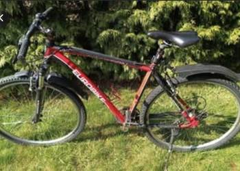Rower EUROBIKE rama 21 koła 29 cali. Sprawny, zadbany, wygodny dla 180 cm