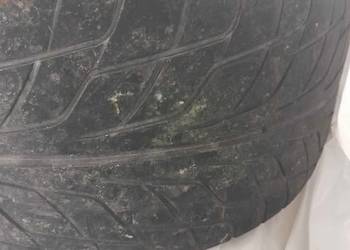 Opony Bridgestone Potenza 255/50 R17