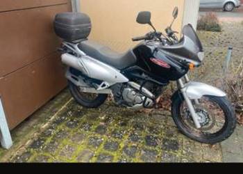 Suzuki xf 650