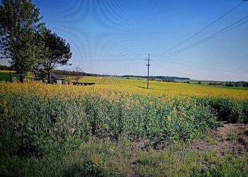 Działka rekreacyjna budowlana rolna pole przy lesie Tuszów Jabłonna