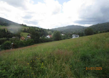 syndyk sprzeda działkę w Milówce