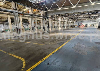Powierzchnie magazynowe/ produkcyjne/ logistyczne