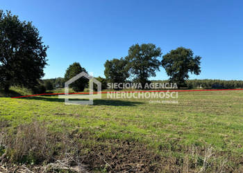 Działka 3000m2 Goszyn