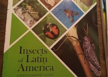 Insects of latin America. Po angielsku!