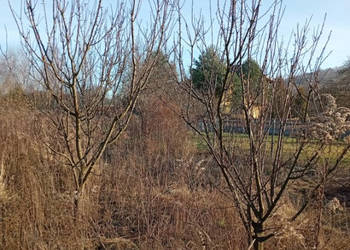 Sprzedam działkę budowlaną