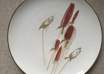 Duża patera talerz porcelanowy Hutschenreuther Selb