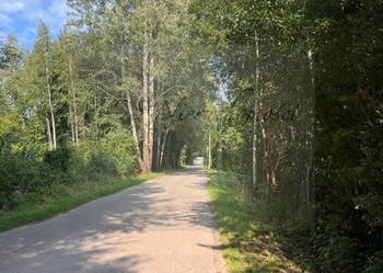 działka nad Bugiem - plaża Cupel