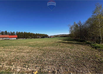 BLACK WEEKS -Działka rolna w Pogórzu z potencjałem