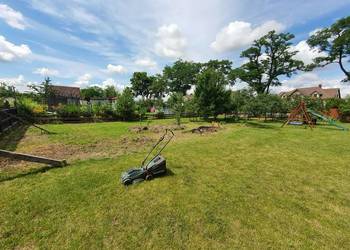 Usługi ogrodnicze, wertykulacja, aeracja trawników