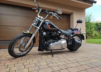 Harley Davidson FXST Softail Standard, salon Polska,
