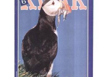 „Kwak” nr 6, czerwiec 1993