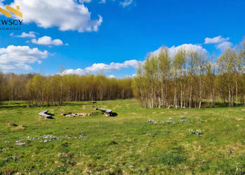 Działka - 1,63 ha przy rezerwacie Lenki, Dawidy