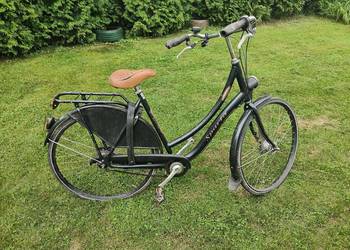 Rower Sparta holenderski