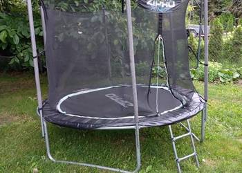 Trampolina Zipro 8'