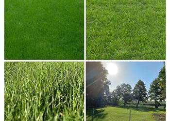 USŁUGI OGRODNICZE ABRAMÓW