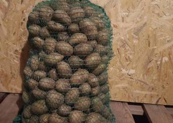 Ziemniaki sadzeniaki QUEEN ANNE