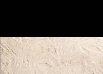 Płytka Parma 3 wymiar 29,8 x 59,8; Tubądzin, płytki, kafelki, flizy