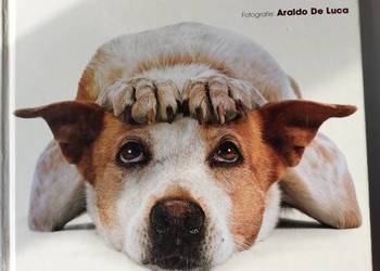 Książka Album  Pieski Świat