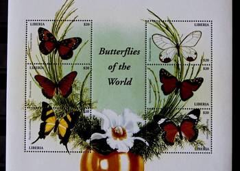 Liberia motyle 1